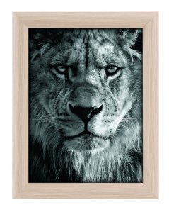 TOSCANA NATURE képkeret MDF 13x18 ff