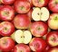 CANVAS apples 50x50