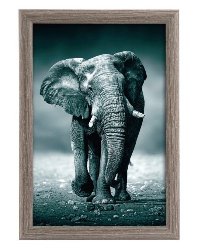 TOSCANA GREY  rámeček MDF A4 ff