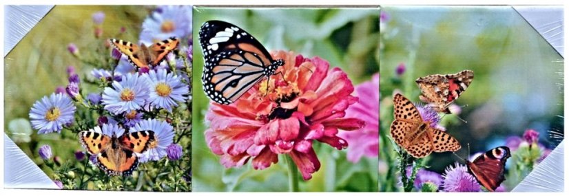 CANVAS meadow  20x60