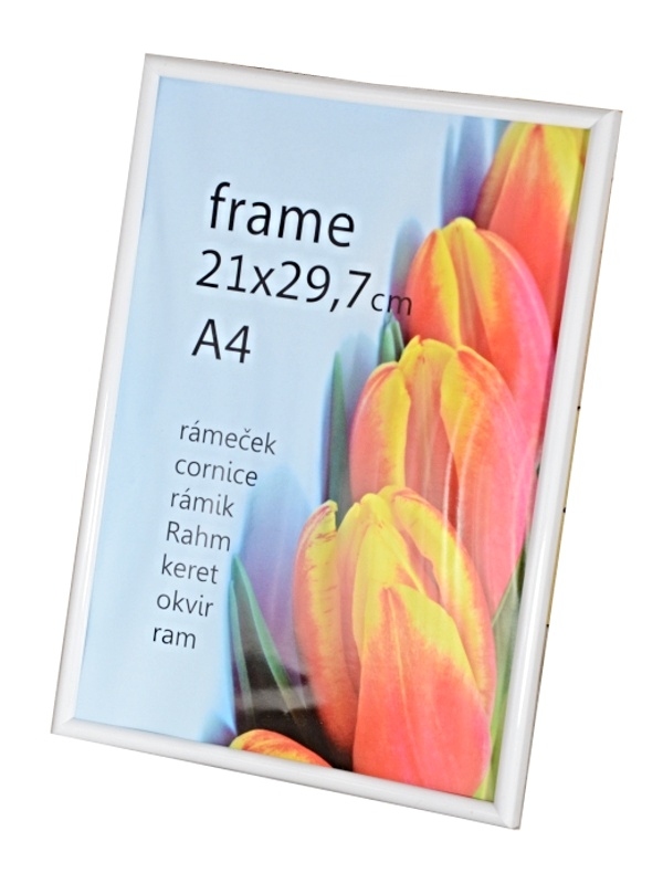 PLASTIC WHITE rama plastik A4 biały