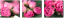 CANVAS ROSES 20x60