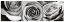 CANVAS 20x60 TRIO ROSES
