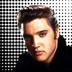 CANVAS Elvis  50x50