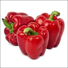 CANVAS red pepper 50x50