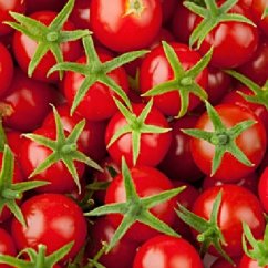 CANVAS cherry 50x50
