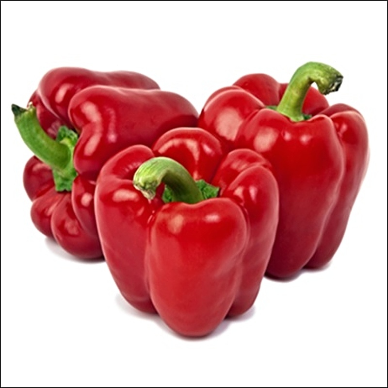 CANVAS red pepper 50x50