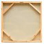 CANVAS JABLKOREZ 50x50
