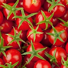 CANVAS cherry 50x50
