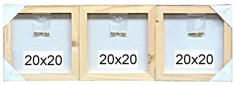 CANVAS PIVONY 20x60